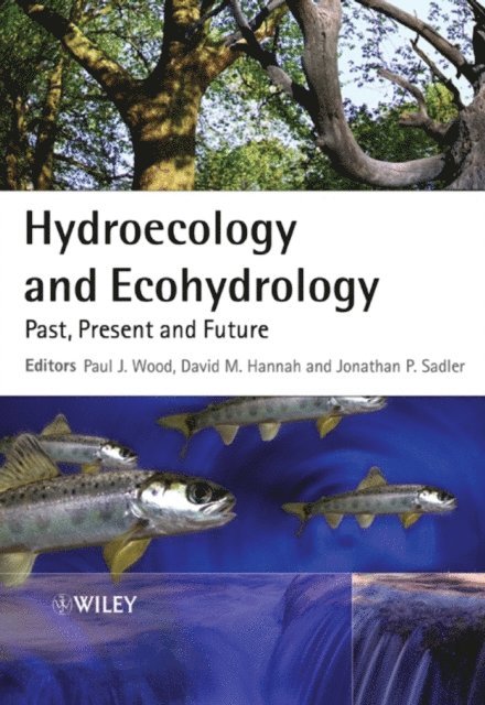 Jon P. Sadler, David M. Hannah, Paul J. Wood - Hydroecology and Ecohydrology, E-bok