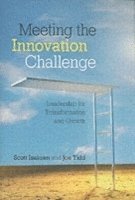 Meeting the Innovation Challenge