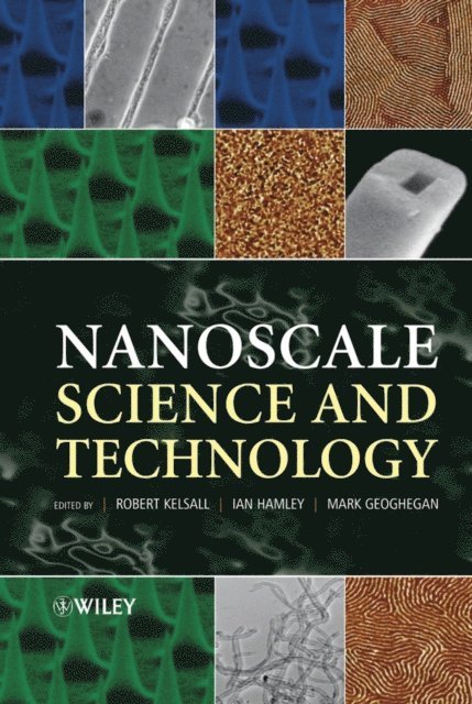 Mark Geoghegan, Ian W. Hamley, Robert Kelsall - Nanoscale Science and Technology, E-bok