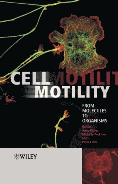 Peter Clark, Michelle Peckham, Anne Ridley - Cell Motility, E-bok