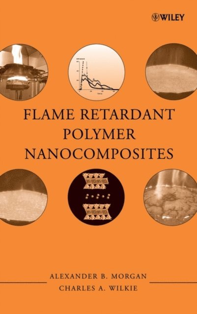 Charles A. Wilkie, Alexander B. Morgan - Flame Retardant Polymer Nanocomposites, E-bok