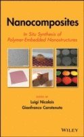 Luigi Nicolais, Gianfranco Carotenuto - Nanocomposites, Inbunden