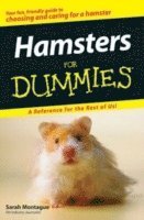 Sarah Montague - Hamsters For Dummies, Häftad. Tillgänglighet: Lägg i varukorg