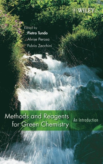 Fulvio Zecchini, Alvise Perosa, Pietro Tundo - Methods and Reagents for Green Chemistry, E-bok