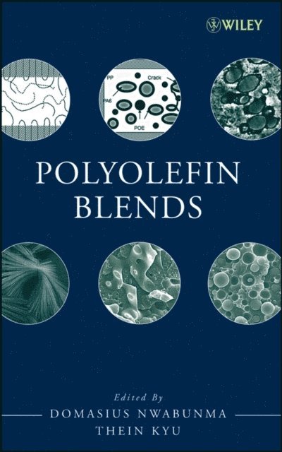 Thein Kyu, Domasius Nwabunma - Polyolefin Blends, E-bok