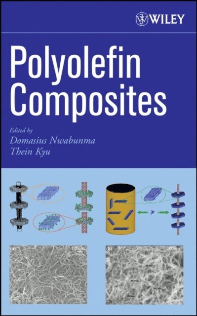 Thein Kyu, Domasius Nwabunma - Polyolefin Composites, E-bok