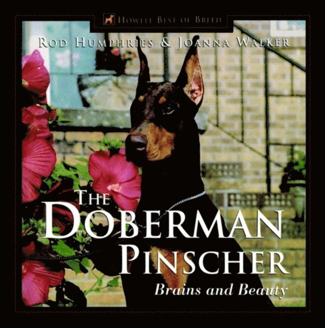 Joanna Walker, Rod Humphries - Doberman Pinscher, E-bok
