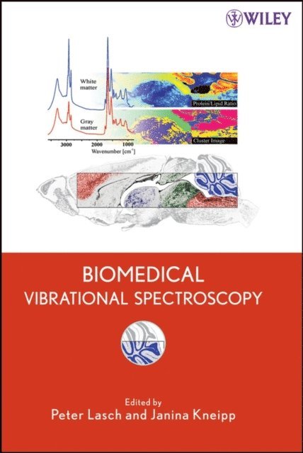 Janina Kneipp, Peter Lasch - Biomedical Vibrational Spectroscopy, E-bok