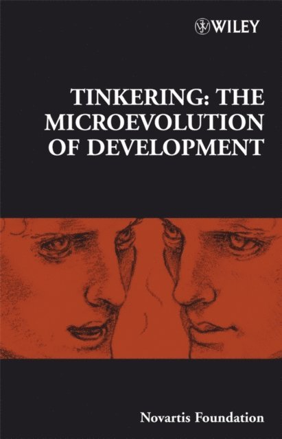 Jamie A. Goode, Gregory R. Bock - Tinkering, E-bok