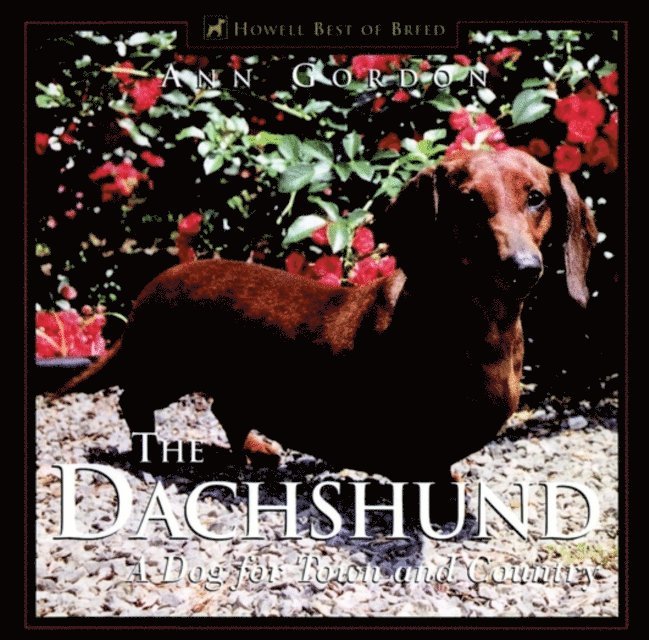 Ann Gordon - Dachshund, E-bok
