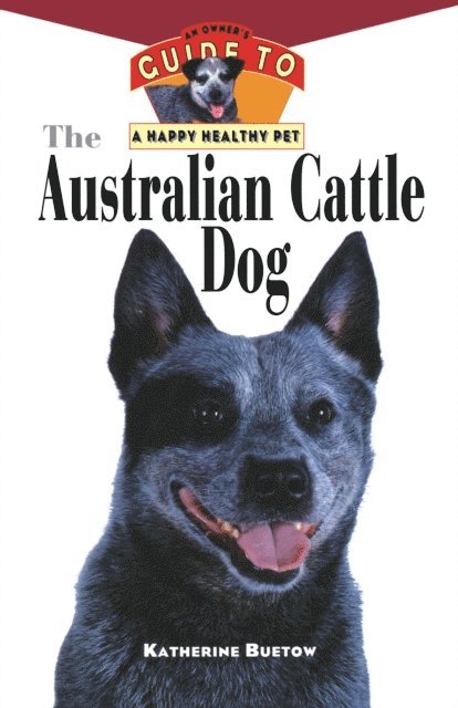 Australian Cattle Dog