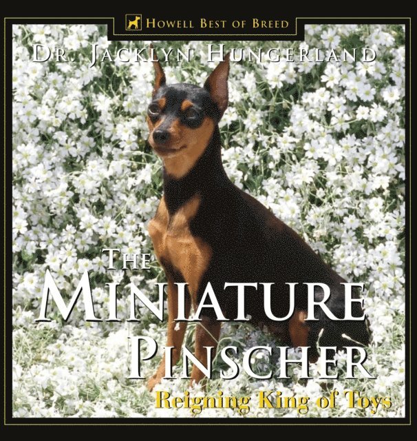 Miniature Pinscher