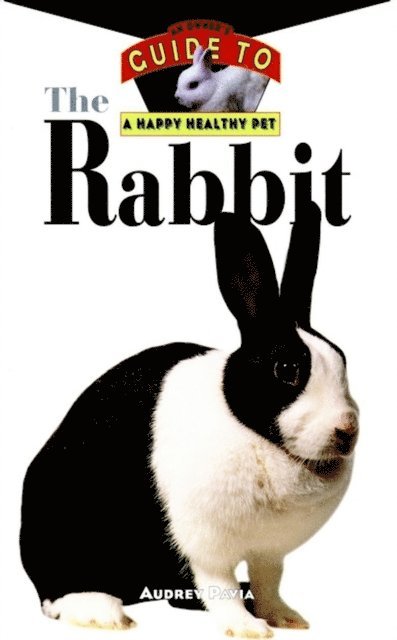 Audrey Pavia - Rabbit, E-bok