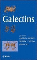 Galectins