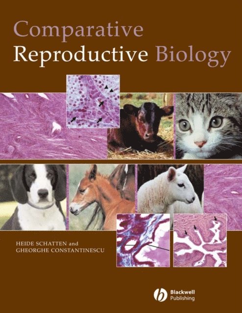 Gheorghe M. Constantinescu, Heide Schatten - Comparative Reproductive Biology, E-bok