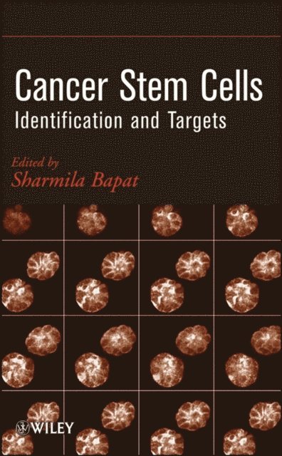 Sharmila A. Bapat - Cancer Stem Cells, E-bok