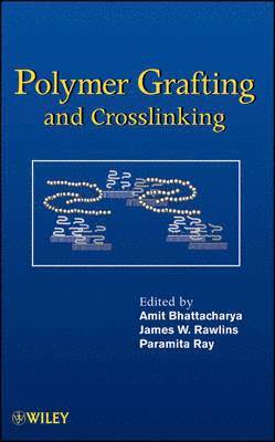 Amit Bhattacharya, Amit Bhattacharya, James W. Rawlins, Paramita Ray - Polymer Grafting and Crosslinking, Inbunden