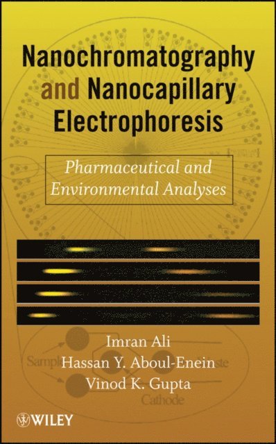 Vinod K. Gupta, Hassan Y. Aboul-Enein, Imran Ali - Nanochromatography and Nanocapillary Electrophoresis, E-bok
