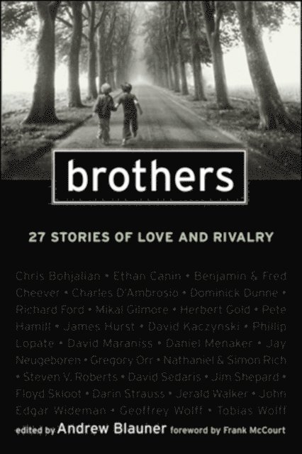 Andrew Blauner - Brothers, E-bok