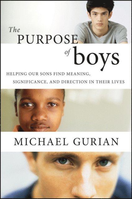 Michael Gurian - Purpose of Boys, E-bok