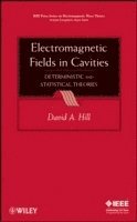 Electromagnetic Fields in Cavities