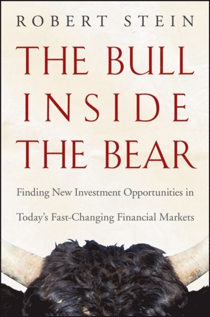 Robert Stein - Bull Inside the Bear, E-bok