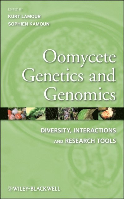 Sophien Kamoun, Kurt Lamour - Oomycete Genetics and Genomics, E-bok