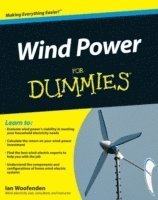 Ian Woofenden - Wind Power For Dummies, Häftad