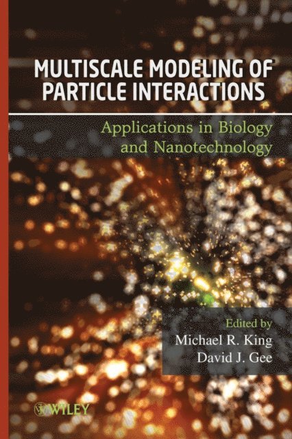 David Gee, Michael King - Multiscale Modeling of Particle Interactions, E-bok