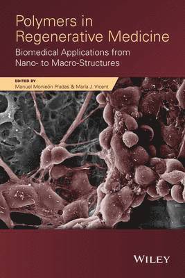 Manuel Monleon Pradas, Maria J. Vicent - Polymers in Regenerative Medicine, Inbunden. Tillgänglighet: Lägg i varukorg