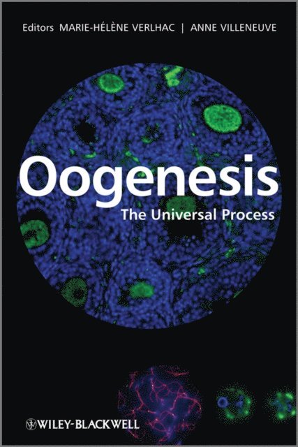 Anne Villeneuve, Marie-Helene Verlhac - Oogenesis, E-bok