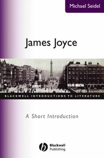 Michael Seidel - James Joyce, E-bok