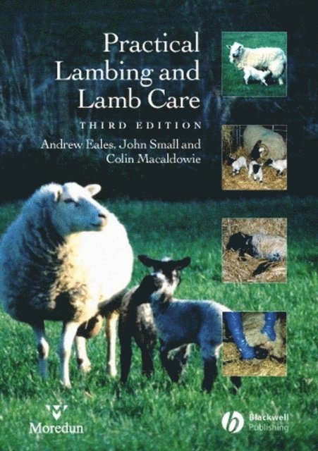 Colin Macaldowie, John Small, Andrew Eales - Practical Lambing and Lamb Care, E-bok