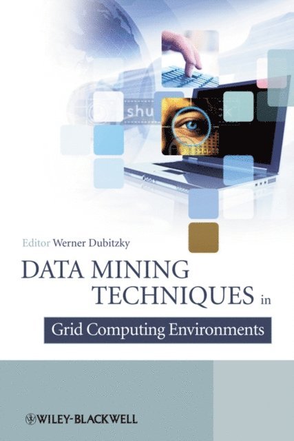 Werner Dubitzky - Data Mining Techniques in Grid Computing Environments, E-bok