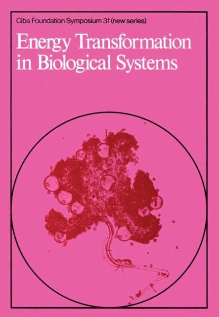 David W. FitzSimons, G. E. W. Wolstenholme - Energy Transformation in Biological Systems, E-bok