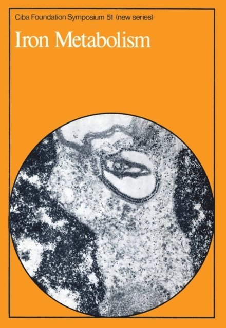 David W. FitzSimons, Ruth Porter - Iron Metabolism, E-bok
