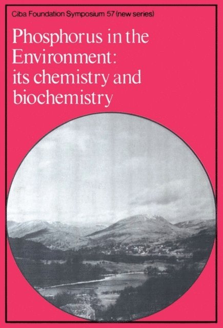 David W. FitzSimons, Ruth Porter - Phosphorus in the Enviroment, E-bok