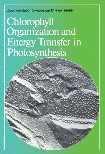 David W. FitzSimons, G. E. W. Wolstenholme - Chlorophyll Organization and Energy Transfer in Photosynthesis, E-bok