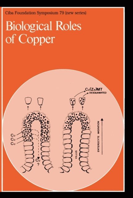 Geralyn Lawrenson, David Evered - Biological Roles of Copper, E-bok