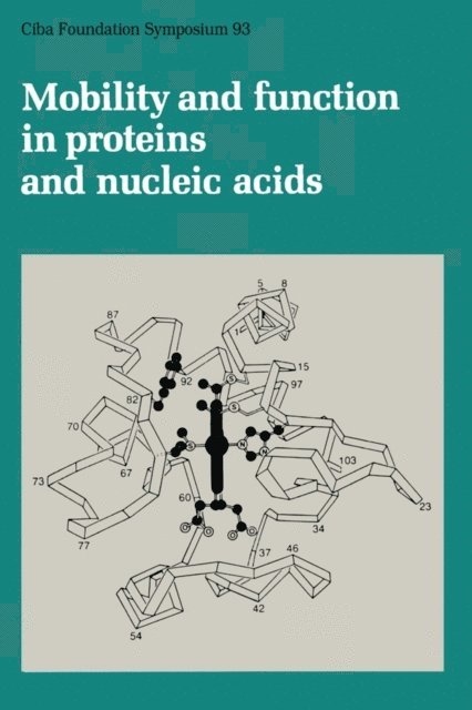Julie Whelan, Maeve O'Connor, Ruth Porter - Mobility and Function in Proteins and Nucleic Acids, E-bok