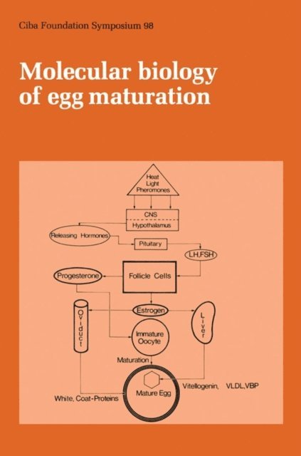 Julie Whelan, Ruth Porter - Molecular Biology of Egg Maturation, E-bok