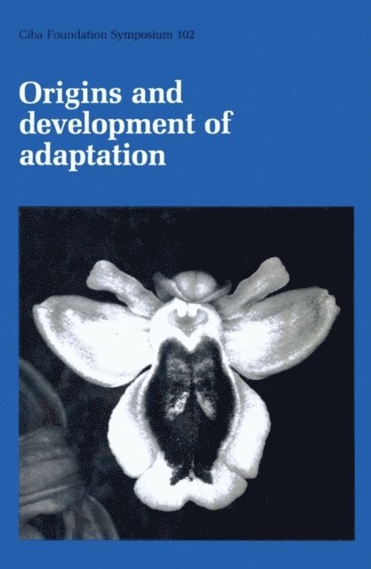 Geralyn M. Collins, David Evered - Origins and Development of Adaptation, E-bok