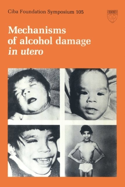 Julie Whelan, Maeve O'Connor, Ruth Porter - Mechanisms of Alcohol Damage in Utero, E-bok