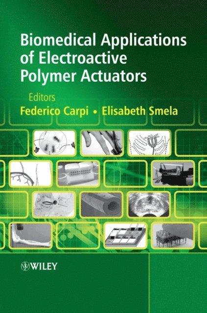 Elisabeth Smela, Federico Carpi - Biomedical Applications of Electroactive Polymer Actuators, E-bok