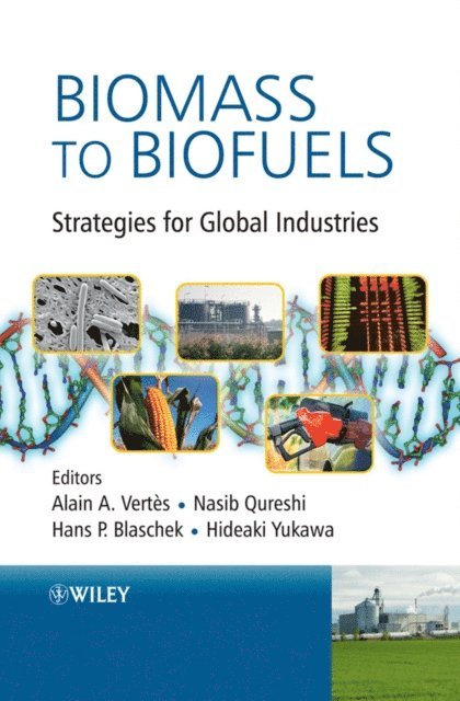 Hans P. Blaschek, Hideaki Yukawa, Nasib Qureshi, Alain A. Vertes - Biomass to Biofuels, E-bok