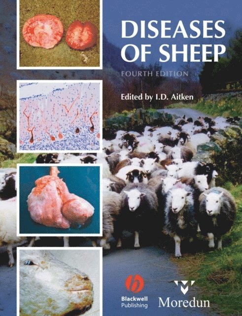 I. D. Aitken - Diseases of Sheep, E-bok
