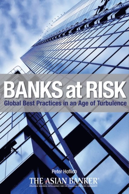 Peter Hoflich - Banks at Risk, E-bok