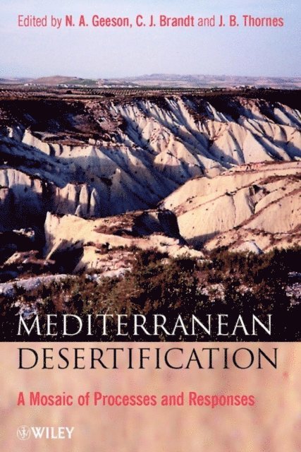 John B. Thornes, C. Jane Brandt, N. A. Geeson - Mediterranean Desertification, E-bok