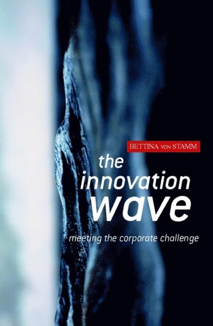 Bettina von Stamm - Innovation Wave, E-bok