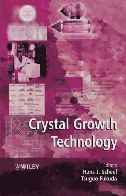 Tsuguo Fukuda, Hans J. Scheel - Crystal Growth Technology, E-bok